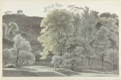 Fák Subiaco körül alkotó: Josephus Augustus Knip
