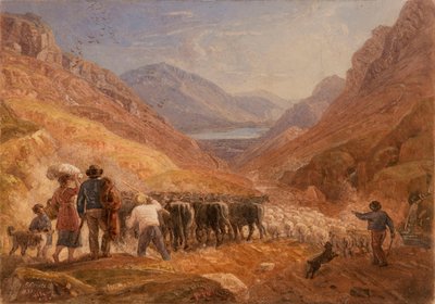 Pásztorok szarvasmarhákat és juhokat hajtanak át a walesi Tal-y-Llyn-hágón alkotó: Joshua Cristall