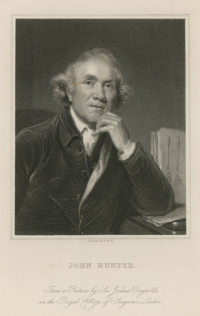 John Hunter alkotó: Joshua Reynolds