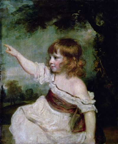 Francis George Hare, Francis Hare Naylor (1753-1815) legidősebb fiának, Francis Hare Naylornak (1753-1815) az arcképe 1788-9 alkotó: Joshua Reynolds
