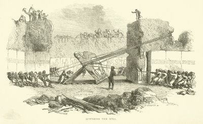 A bika leengedése alkotó: Josiah Wood Whymper