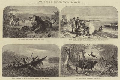 Dr. Livingstone utazásainak feljegyzései alkotó: Josiah Wood Whymper