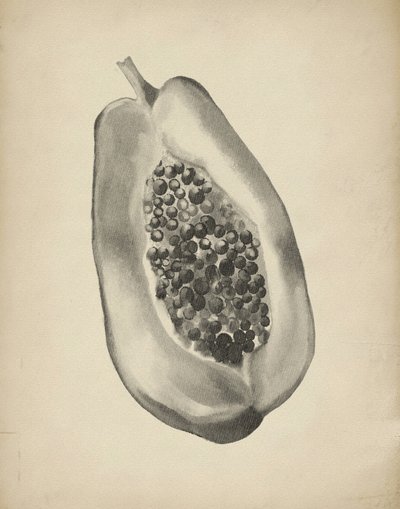 Fél trópusi papaya alkotó: Josie George