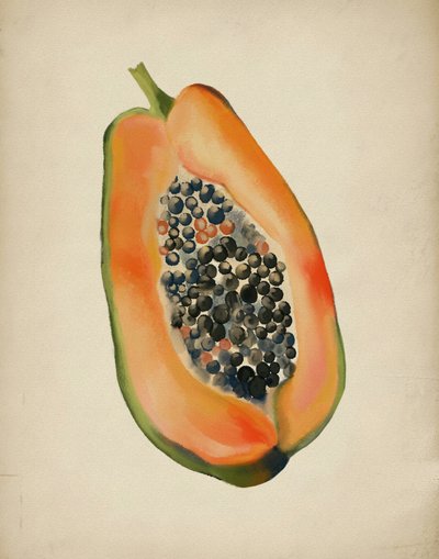Élénk színű papaya fél alkotó: Josie George