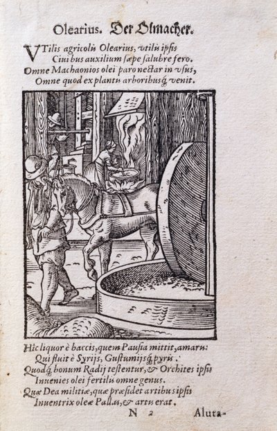Olajkészítő, illusztráció a „De Omnibus Illiberalibus Sive Mechanics Artibus” latin kiadásából Hans Sachs (1494-1576) verseivel, pub. 1574 (fametszet) alkotó: Jost Amman