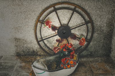 Flowers for the Mariners, a sorozatból, Chapelle du Canal, 2016 (fotó) alkotó: Joy Lions