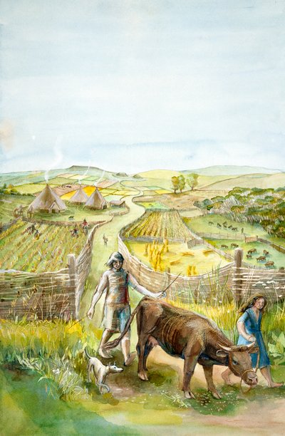 Vidéki táj, 2000BC, c1990-2010 alkotó: Judith Dobie