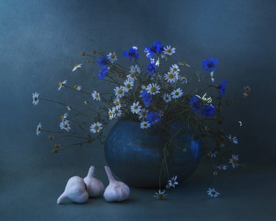 Kék margaréta és fokhagyma csendélet alkotó: Judy Tseng