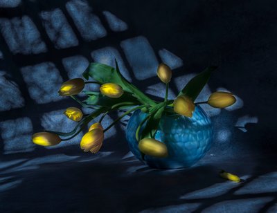 Fényes tulipánok kék vázában alkotó: Judy Tseng