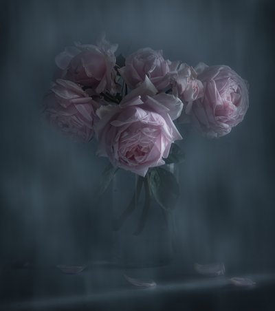  alkotó: Judy Tseng