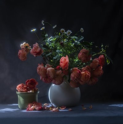  alkotó: Judy Tseng