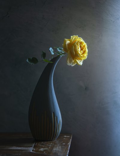 Moody sárga rózsa alkotó: Judy Tseng