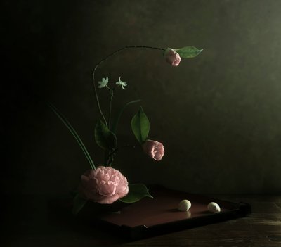Rózsaszín kamélia ikebana alkotó: Judy Tseng