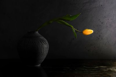 Sárga tulipános csendélet alkotó: Judy Tseng