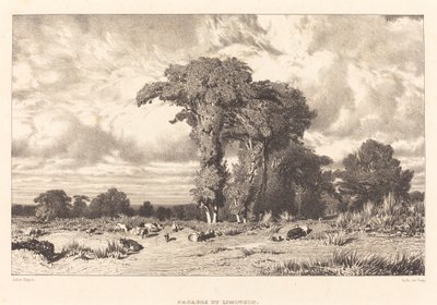 Limousin legelői alkotó: Jules Dupré