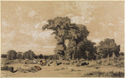 Legelő táj Limousinban alkotó: Jules Dupré