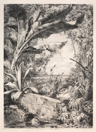 Az üvegház növényei, 1872. alkotó: Jules Ferdinand Jacquemart