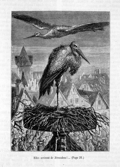Gólyák a tetőn – Erckmann-Chatrian „A barát Fritz” című művében, ill. szerző: Théophile Schuler alkotó: Jules Theophile (after) Schuler