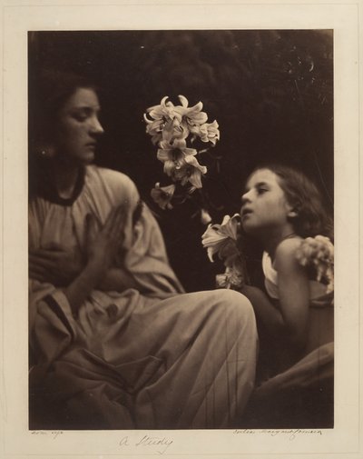 Tanulmány alkotó: Julia Margaret Cameron