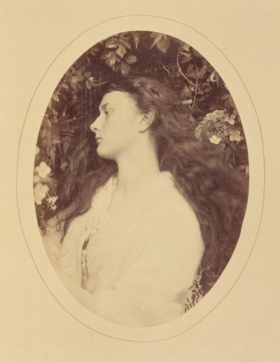 [Alethea] alkotó: Julia Margaret Cameron