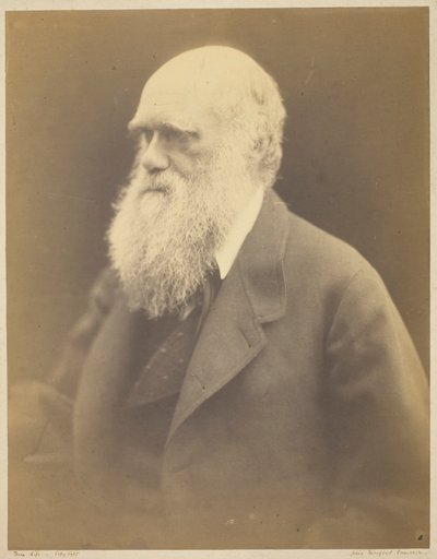 Charles Darwin alkotó: Julia Margaret Cameron