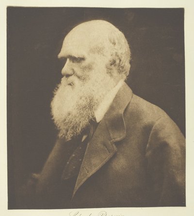 Charles Darwin alkotó: Julia Margaret Cameron
