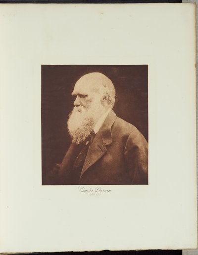 Charles Darwin alkotó: Julia Margaret Cameron