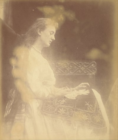 Elaine alkotó: Julia Margaret Cameron