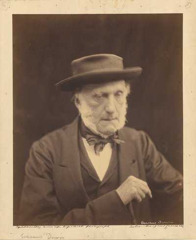[Erasmus Darwin] alkotó: Julia Margaret Cameron