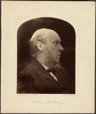 James Spedding alkotó: Julia Margaret Cameron