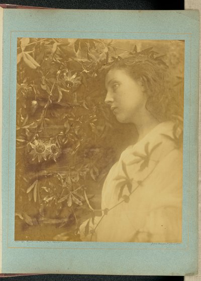 Maud „Lehullott egy pompás könnycsepp” / „A kapunál nyíló golgotavirágtól.” alkotó: Julia Margaret Cameron