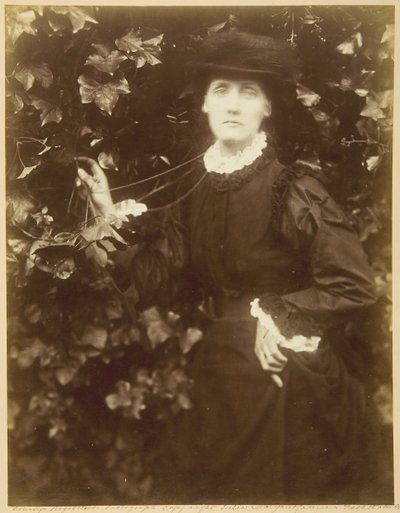 Mrs. Herbert Duckworth Sétál a szépségben, 1874. szeptember. alkotó: Julia Margaret Cameron