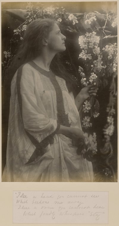 [Tavasz] alkotó: Julia Margaret Cameron