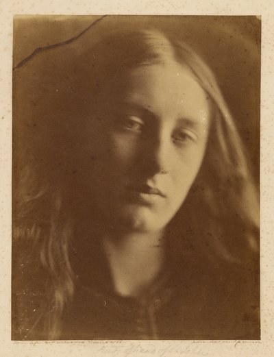 [Szent János fejének tanulmányozása] alkotó: Julia Margaret Cameron