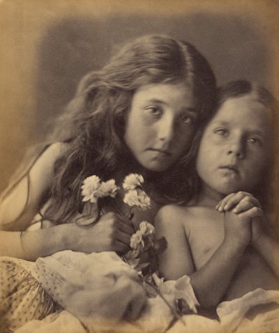 A vörös és fehér rózsák alkotó: Julia Margaret Cameron