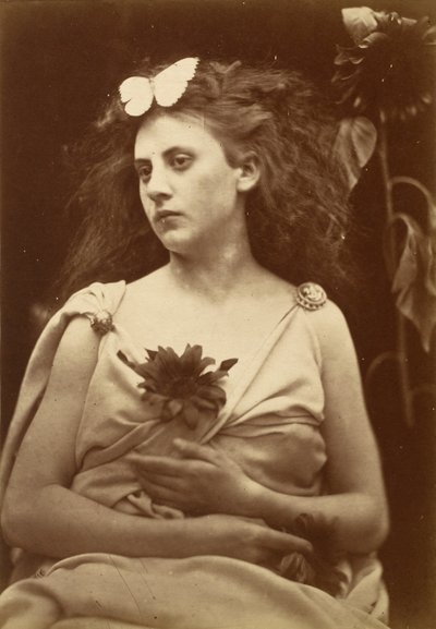 A Napraforgó alkotó: Julia Margaret Cameron