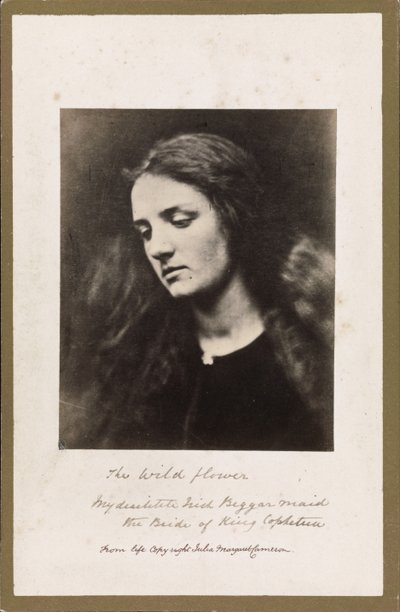 A Vadvirág alkotó: Julia Margaret Cameron