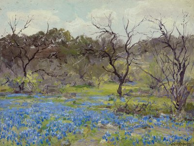 Kora tavasz - Bluebonnets és Mesquite alkotó: Julian Onderdonk