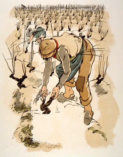 Humoros bor-illusztráció 1946. Illusztráció: Julien Pavil alkotó: Julien Pavil