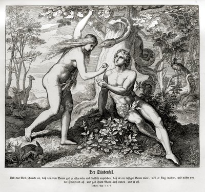 A bukás, Genesis alkotó: Julius Schnorr von Carolsfeld