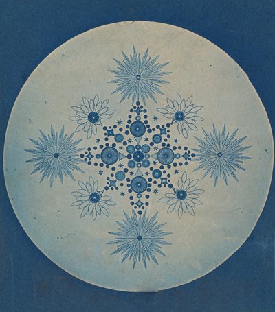 [Diatoms frustules], kb. 1870. alkotó: Julius Wiesner.