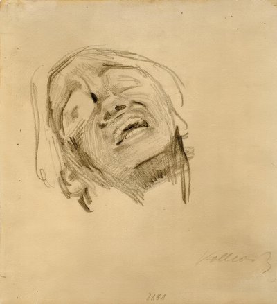 Női fej alkotó: Käthe Kollwitz