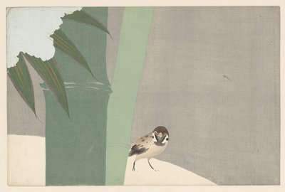 Bambusz a hóban, 1909 (fatömb nyomat) alkotó: Kamisaka Sekka