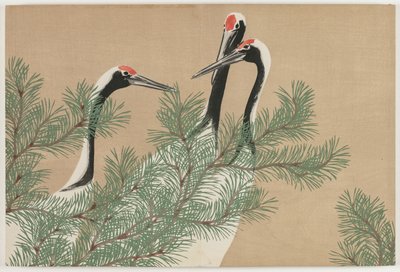 Száz világ virágai (Momoyogusa): Daruk (Tsuru) alkotó: Kamisaka Sekka