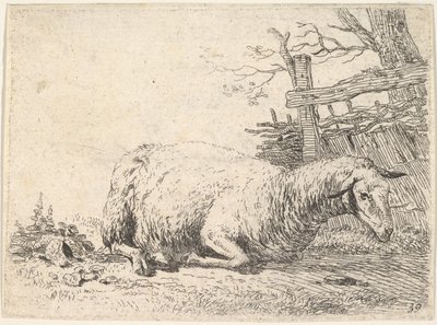 Egy fakerítés mellett a teste alatt összekulcsolt lábakkal fekvő bárány, a she..., kb. 1655. alkotó: Karel Du Jardin