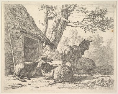 Négy bárány, egy bárány három másik között áll a földön fekve egy fészer mellett, 1658-ban. alkotó: Karel Du Jardin