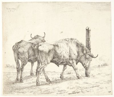 A két ökör alkotó: Karel Du Jardin