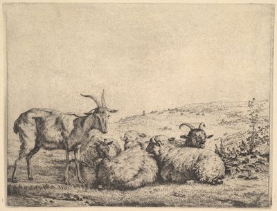 Két kecske és három bárány, 1655. alkotó: Karel Du Jardin