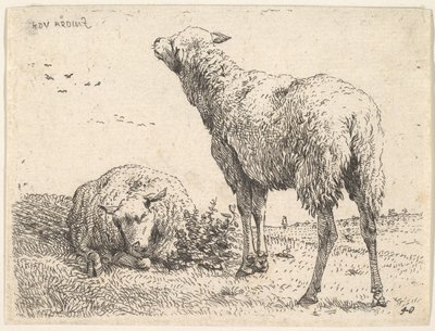 Két bárány, az egyik elöl látható fekvő helyzetben, alatta összehajtott lábakkal..., kb. 1655. alkotó: Karel Du Jardin