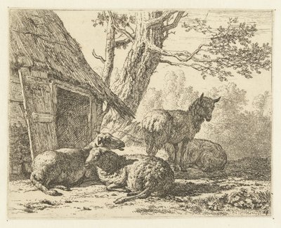 Négy bárány alkotó: Karel Du Jardin